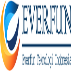 pt-everfun-teknologi-indonesia